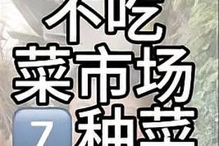 全面！兰德尔17中7拿到20分7板8助 正负值+31并列最高